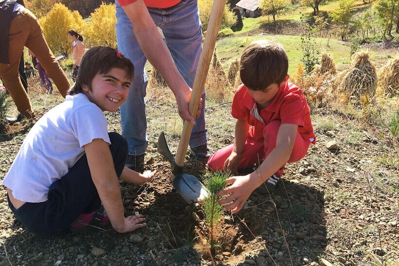 Tree planting campaign 2017 Bishnica