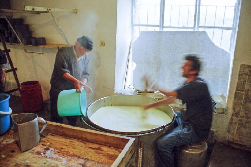 Traditionelle Käseher­stellung in Kurvelesh